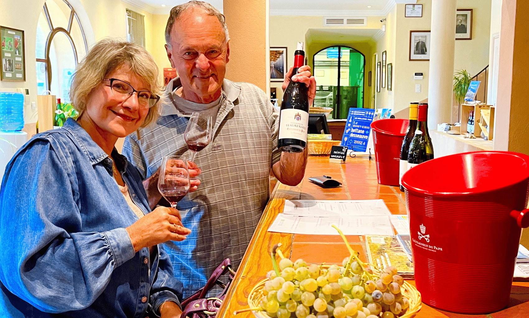 Ab Avignon: Weinprobe in Châteauneuf-du-Pape
