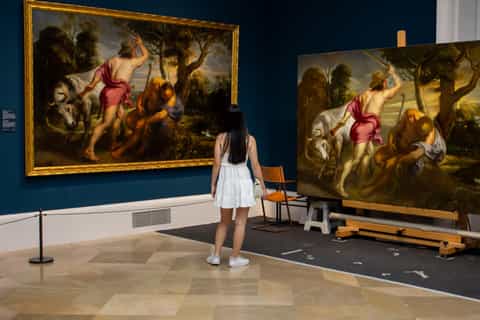2026年プラド美術館の最高のピカソの世界（実際の体験者からのレビュー）