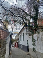 Szentendre, Half-Day Private Tour from Budapest - Housity