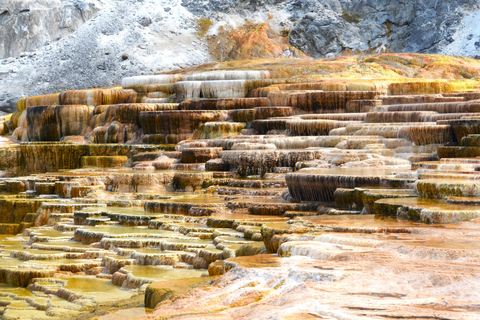 Yellowstone 2 Day Adventure - Upper and Lower Loop Tour