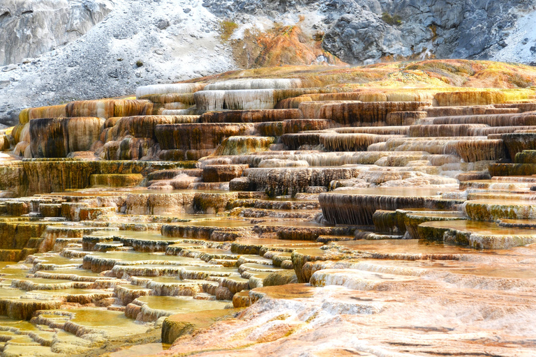 Yellowstone 2 Day Adventure - Upper and Lower Loop Tour