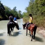 Riviera Romagnola: passeggiata a cavallo tra la natura sulle rive del fiume