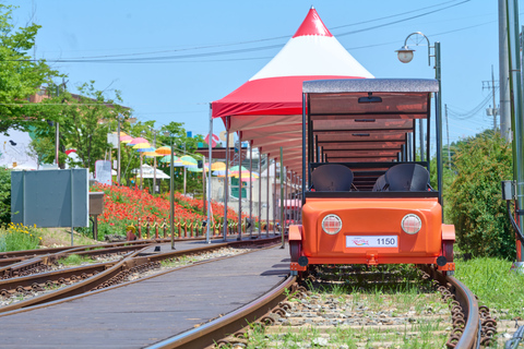 Seoul: Strawberry & Nami Island & Korean Garden (+ Railbike) Shared Tour (No Railbike) - Meet at DDP Station