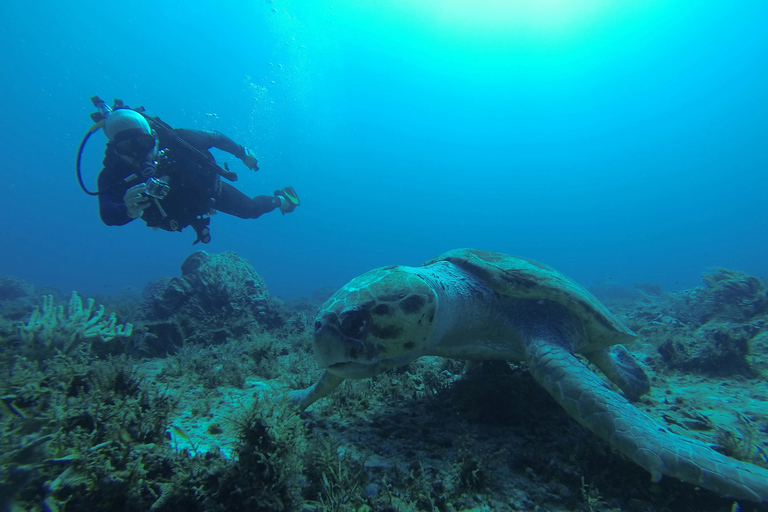 Mirissa: Sea Turtle Conservation Experience with Snorkeling