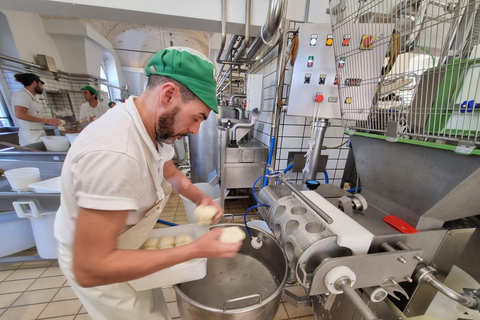 e-bike ring tour between Locorotondo and Martina Franca e-bike tour Locorotondo, Martina Franca and visit to a dairy