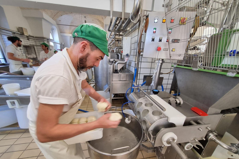 e-bike ring tour between Locorotondo and Martina Franca e-bike tour Locorotondo, Martina Franca and visit to a dairy