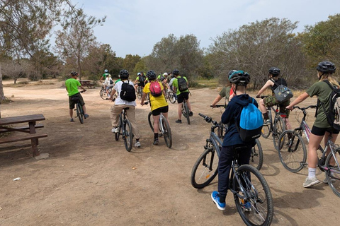 Larnaca: Salt Lake & Cultural Highlights Guided Bike Tour