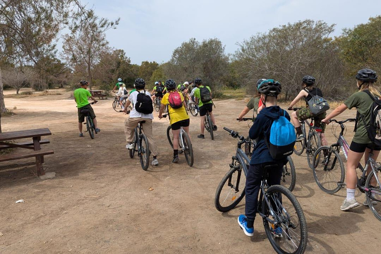 Larnaca: Salt Lake & Cultural Highlights Guided Bike Tour