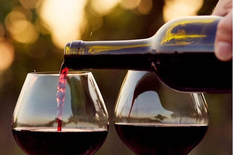 Oude stad Évora &amp; de Alentejo Privé luxe wijnreisPrivétour naar de oude stad Évora en de Alentejo met luxe wijnproeverij