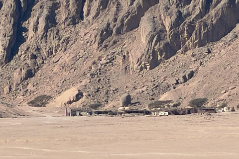 Hurghada: Mount Shaib El Banat Tour with Sandboarding Sand boarding and hiking & camel ride