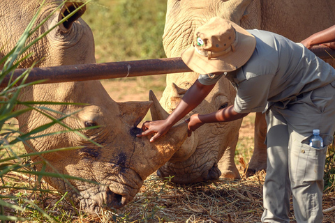 UGANDA SANCTUARY SOJURN: Przeżyj podróż konserwatorską