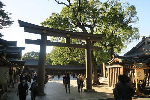 Tokyo : Visite guidée de la ville ancienne et de la ville moderneTokyo : visite guidée d'une demi-journée de la ville