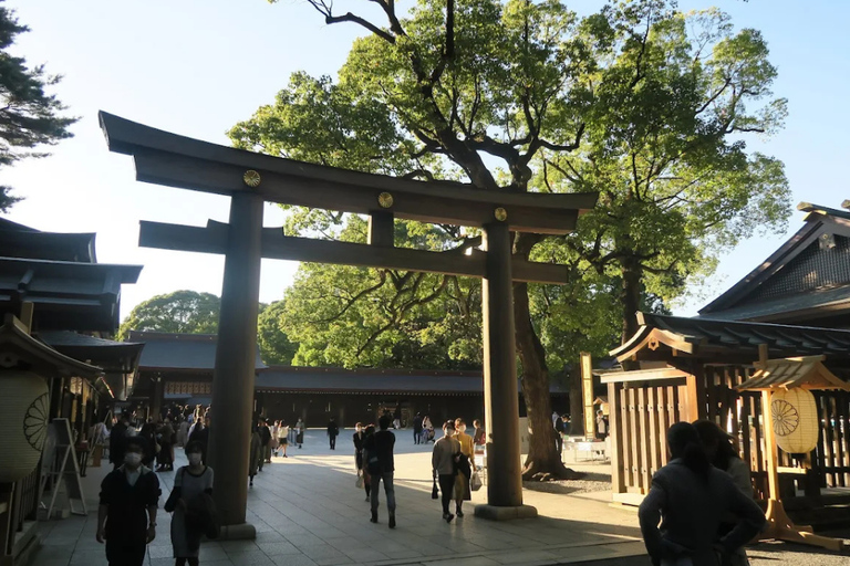 Tokyo : Visite guidée de la ville ancienne et de la ville moderneTokyo : visite guidée d'une demi-journée de la ville