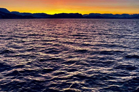 Tromsø: Summer Evening Cruise with Activities