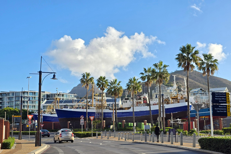 Cape Town: Cruise Passengers sunset Safari & Wine Tour
