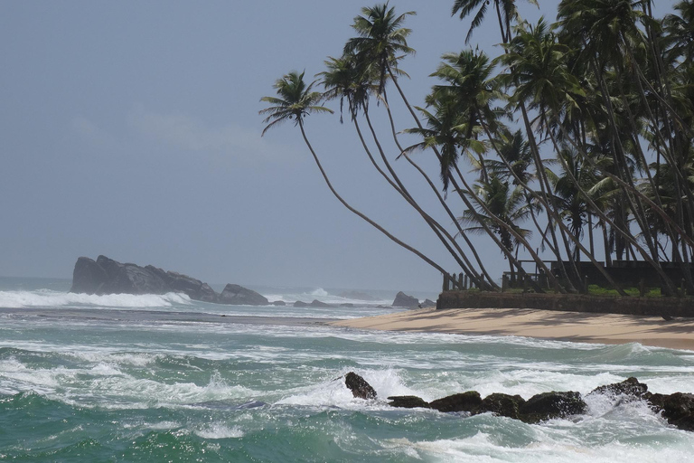 Sri Lanka: fauna e spiaggia