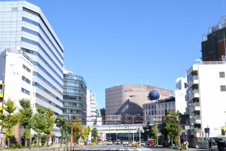 Osaka: Private Customizable Shopping Tour with Guide Osaka: 4Hour Private Customizable Shopping Tour with Guide
