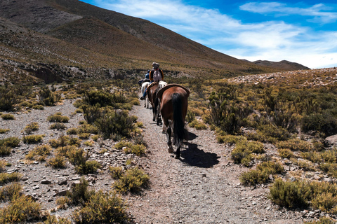 Malibu: Coastal Canyon Horseback Riding Experience