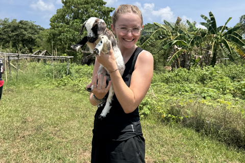 El Nido, Sibaltan: Local Organic Farm Tour & Product Tasting Farm Tour: 2 to 5