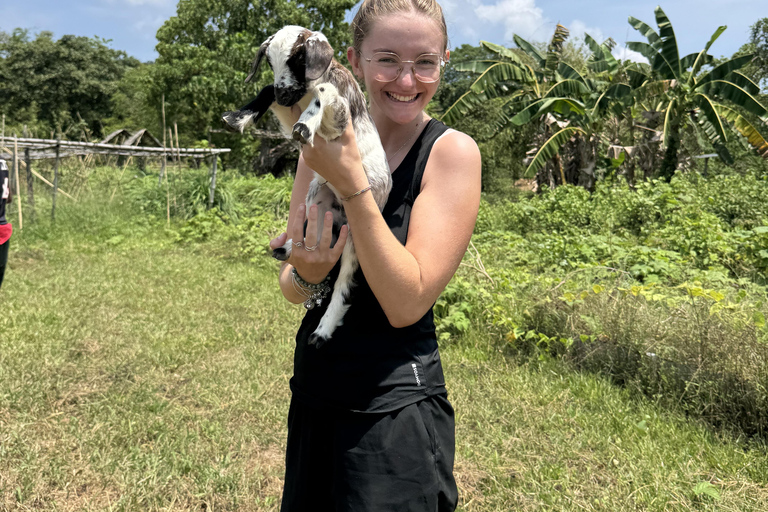 El Nido, Sibaltan: Local Organic Farm Tour & Product Tasting Farm Tour: 2 to 5