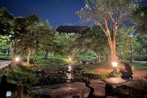 Kyoto: tour a piedi serale a Gion e nel quartiere delle geisheKyoto: tour a piedi serale di Gion e del quartiere delle geishe