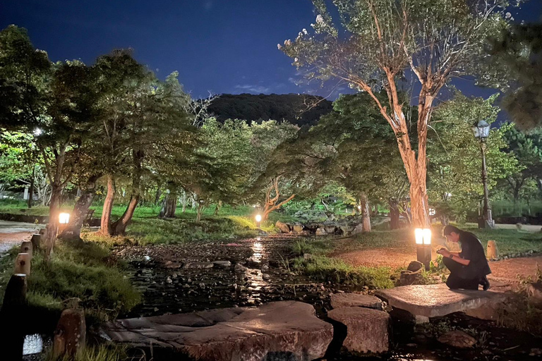 Kyoto: tour a piedi serale a Gion e nel quartiere delle geisheKyoto: tour a piedi serale di Gion e del quartiere delle geishe