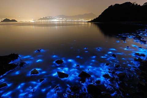 Falmouth Luminous Lagoon Night Tour | Jamaica Glow Falmouth Luminous Lagoon Night Tour - From Green Island