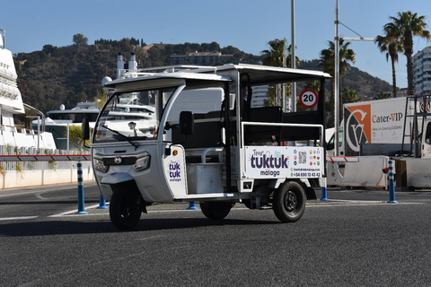 Port of Málaga: Electric Tuk-Tuk Tours from the Cruise Ship Terminal Exclusive tours for cruise passengers, departing directly from the cruise ship terminal