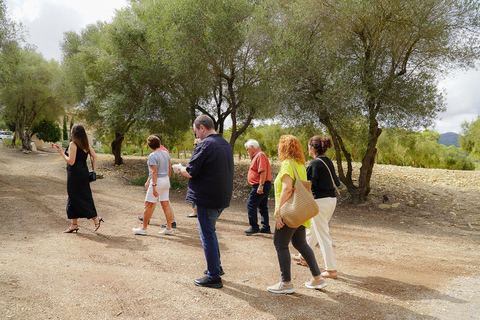 Mallorca Olive grove visit, Oil & Wine Tasting & Light Lunch Español Olive grove visit, olive oil and wine tasting, snack