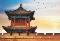 Xi'an Terracotta Warriors e City Wall Private Day Tour - Housity