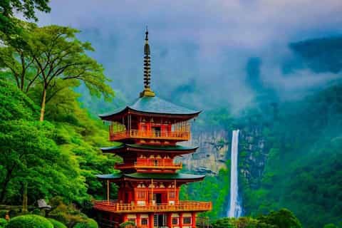 十丈峠 Kumano Kodo Trail, Tanabe - Book Tickets & Tours | GetYourGuide