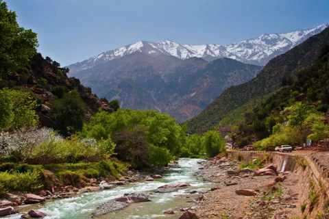 Marrakech: Vale de Ourika, Montanha Atlas, Cachoeiras e Guia