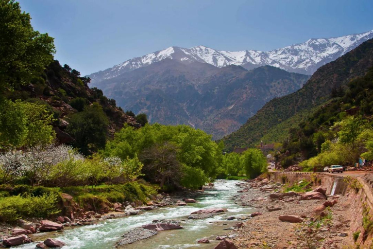 Marrakech: Vale de Ourika, Montanha Atlas, Cachoeiras e Guia