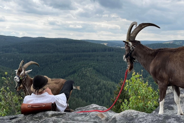 Climb the mountains together with goats