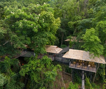 Cascada de Kuang Si, Café en la copa de un árbol, Tirolina