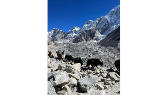 Trek du camp de base de l'Everest