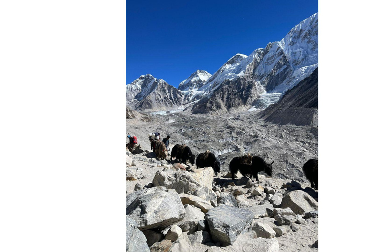 Trek du camp de base de l'Everest