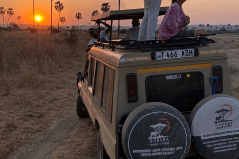 From Zanzibar: Day trip Selous Safari with lunch & flight Shared Day Safari with hotel pick up and drop off