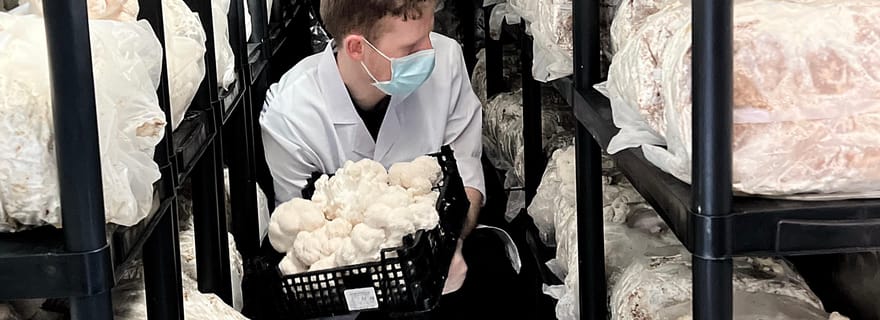 Visite de la ferme champignonnière Makars à Summerhall avec fabrication de blocs DIY