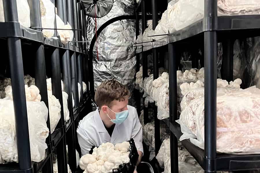 Makars Mushroom Farm Summerhall Tour mit DIY-Blockherstellung. Foto: GetYourGuide