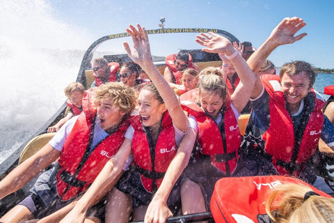 Gold Coast: Aquaduck Land & Water Tour and Jet Boating Combo