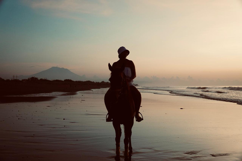 Bali: Experiência de cavalgada na praia de BaliPasseio a cavalo na praia 30 minutos Sem transporte