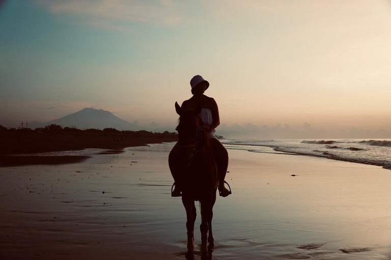 Bali: Bali Beach Horse riding Experience Horse Riding Beach 1 Hour No Transport