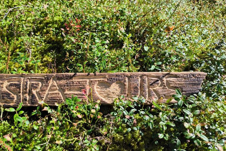 Forest Bathing & Mindfulness Nature Retreat from Tallinn