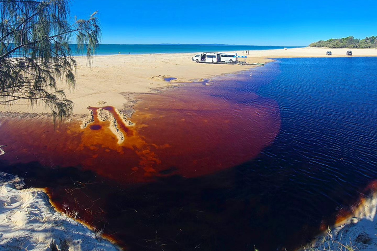 Escursione di un giorno all&#039;isola di Bribie da Brisbane