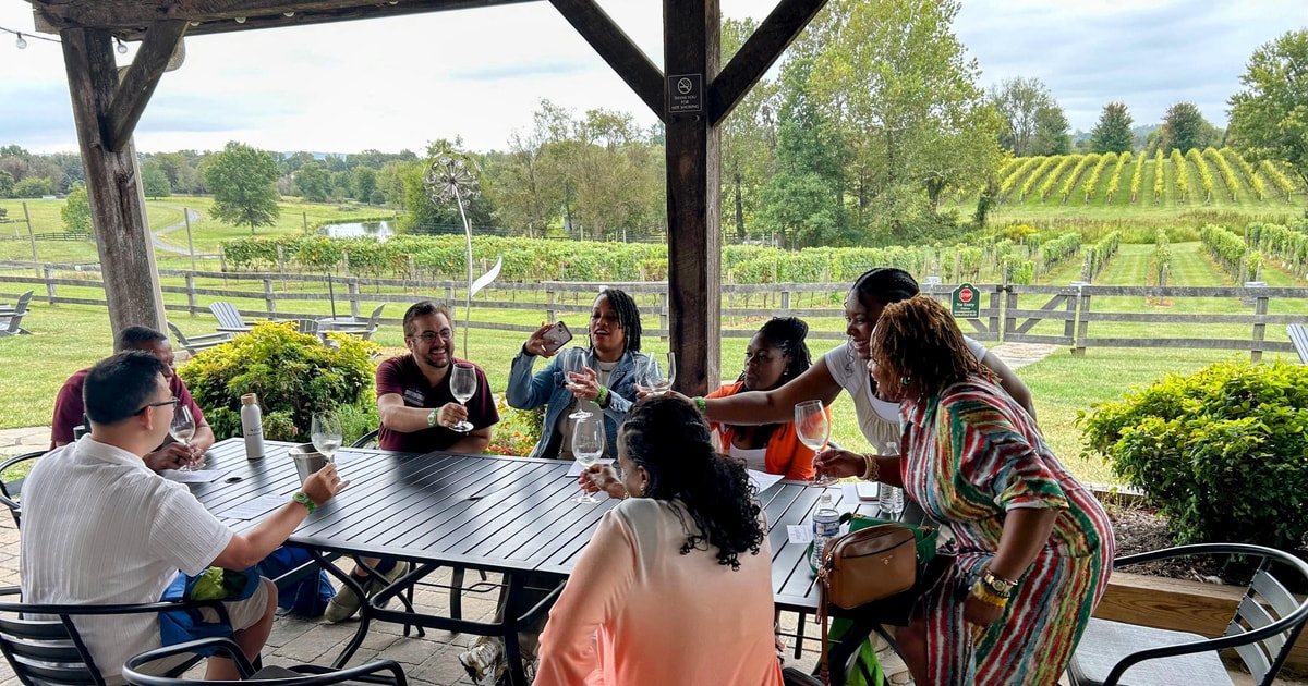 Full Day Winery Tour from Metro DC Leesburg Wineries