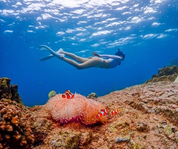 Bangkok: Nemo Island Day Trip with Drone Photos and Lunch