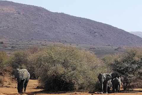 PILANESSBURG GANZTAGESSAFARI