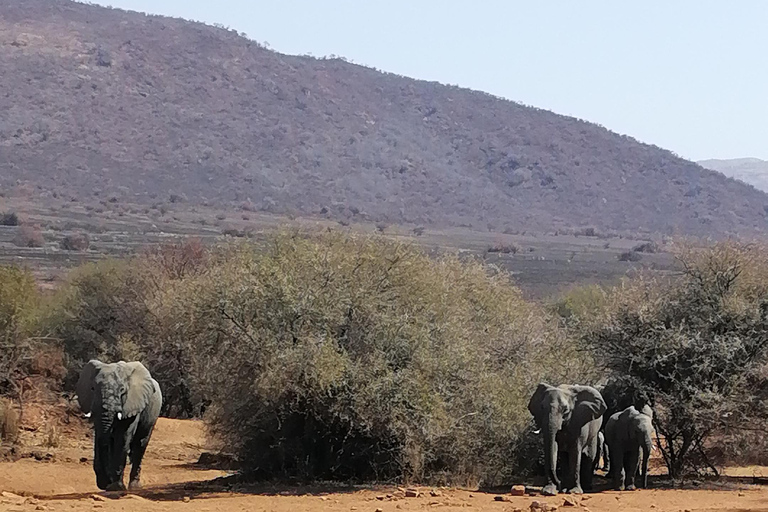 PILANESSBURG GANZTAGESSAFARI