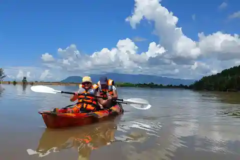 Half Day Kayak Guided Tour to the Green Mangroves Forest